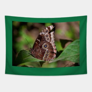 Butterfly. Tapestry