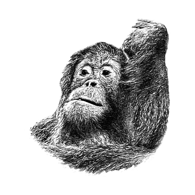 Orangutan by Guardi