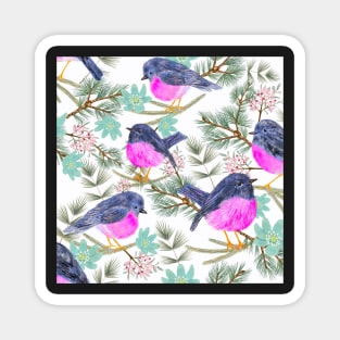 Pink robins Magnet