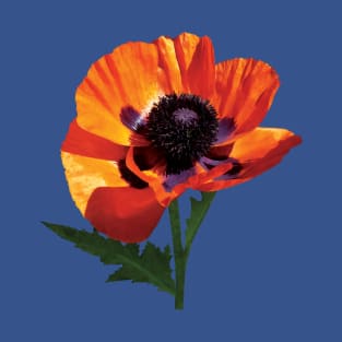 Oriental Poppy T-Shirt