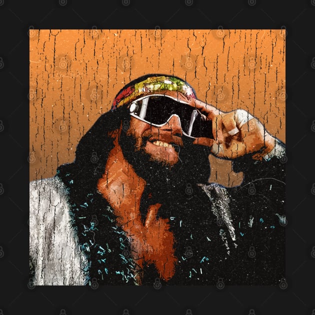 Vintage Randy Savage by 6ifari