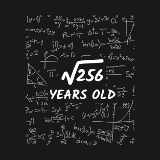 16th birthday math engineering 16 years T-Shirt