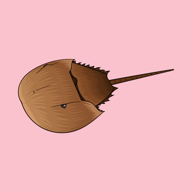 Horseshoe crab cartoon illustration by Cartoons of fun