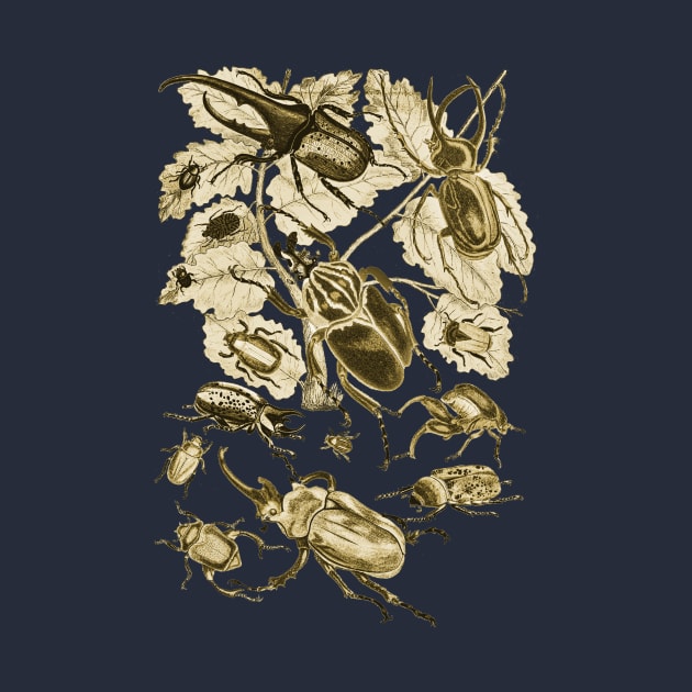 Coleoptera Beetles and Weevils J Mayson Ochre by Scientistudio