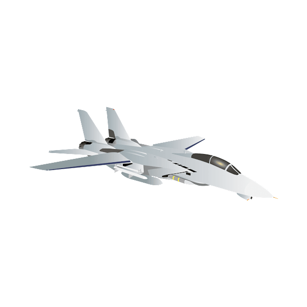 American F-14 Jet Fighter by NorseTech