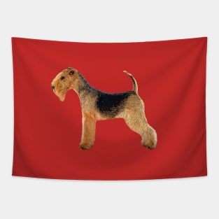 Lakeland Terrier Tapestry