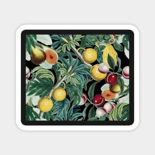 Vintage Fruit Pattern on black Magnet