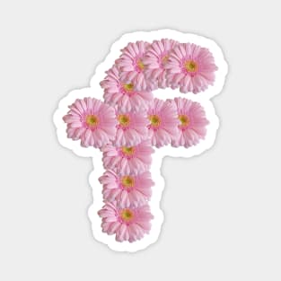 Letter f Pink Gerbera Daisy Magnet