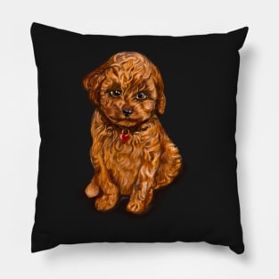 Cavapoochon Cavapoo Cavoodle - cute cavalier King Charles spaniel Bichon frise Pillow