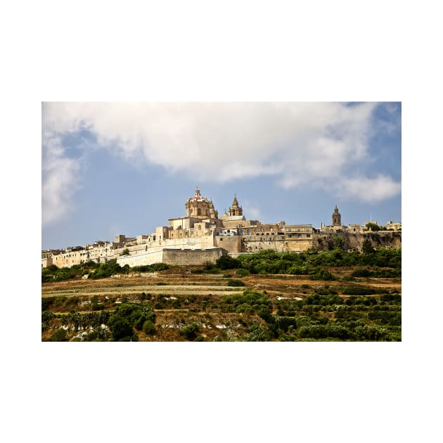 Mdina Silent City of Malta by Violaman