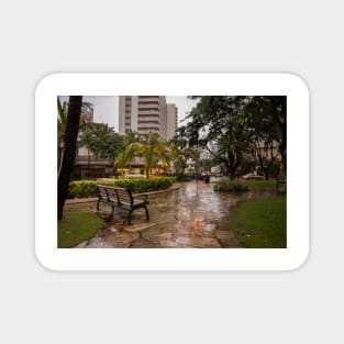 A lonely in rainy day in Honolulu 2 Magnet