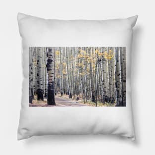 Aspens Pillow