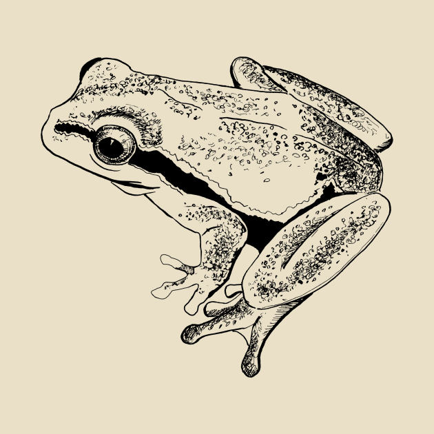 frog by VicaVeresk