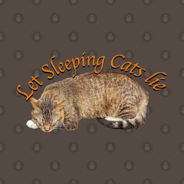 Let sleeping cats lie! by dalyndigaital2@gmail.com