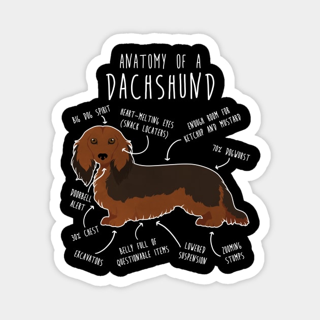 Longhaired Sable Dachshund Dog Anatomy Magnet by Psitta