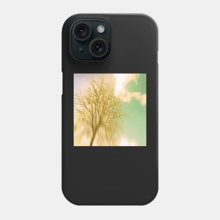 Impermanence Phone Case