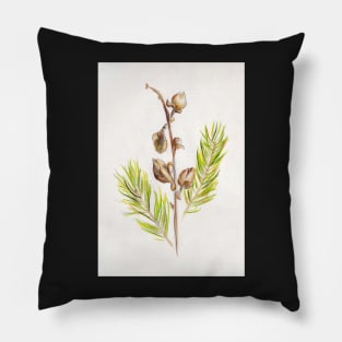 Herb Pillow