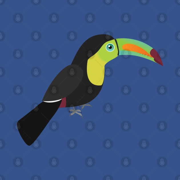 Keel billed toucan by Bwiselizzy