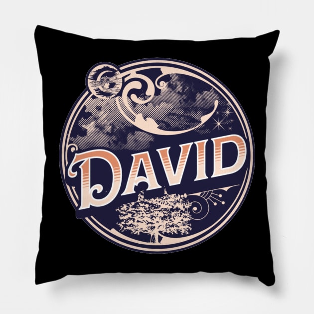 David Name Tshirt Pillow by Renata's