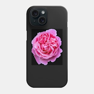 Small Pink Rose Blooms on a black background Phone Case