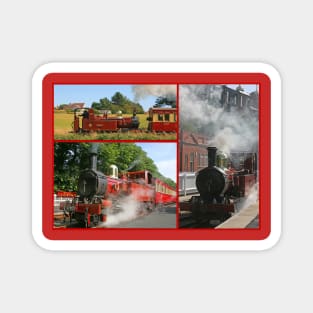 Steamin' - Narrow Gauge Railways on the Isle of Man Magnet