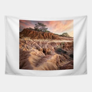 Torrey Pines State Reserve Tapestry