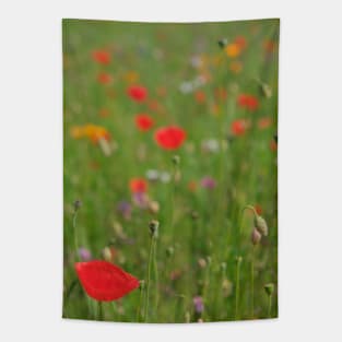 Dreamy wild flower garden Tapestry