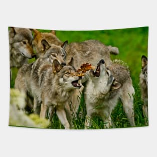 Timber Wolves Tapestry