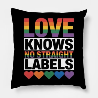 Love Knows No Straight Labels LGBT Gay Ally Queer Pride Pillow