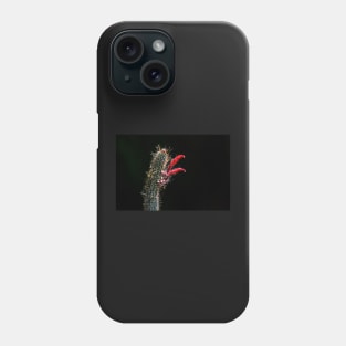 Spring Cactus with Red Blooms Phone Case