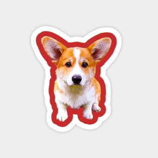 Corgi Puppy Sitting Red and White Pembroke Welsh Corgi Magnet