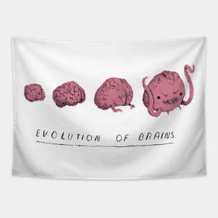 evolution of brains Tapestry