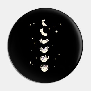 Celestial Feline Frolic Pin