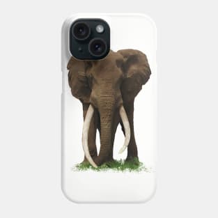 Elephant with big tusk in Africa Phone Case