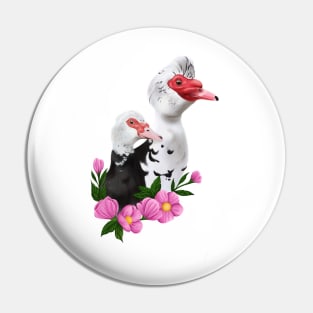 Muscovy duck couple Pin