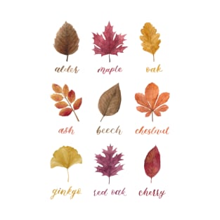 Fall Leaves Chart Watercolour Painting & Calligraphy T-Shirt