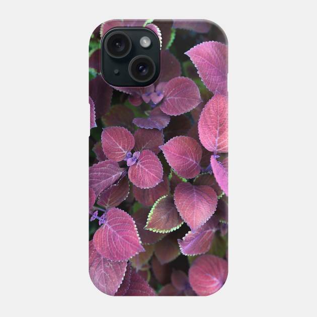 Colored Leaves Phone Case by Fabzumo