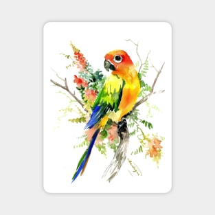 Sun Conure Parakeet Magnet