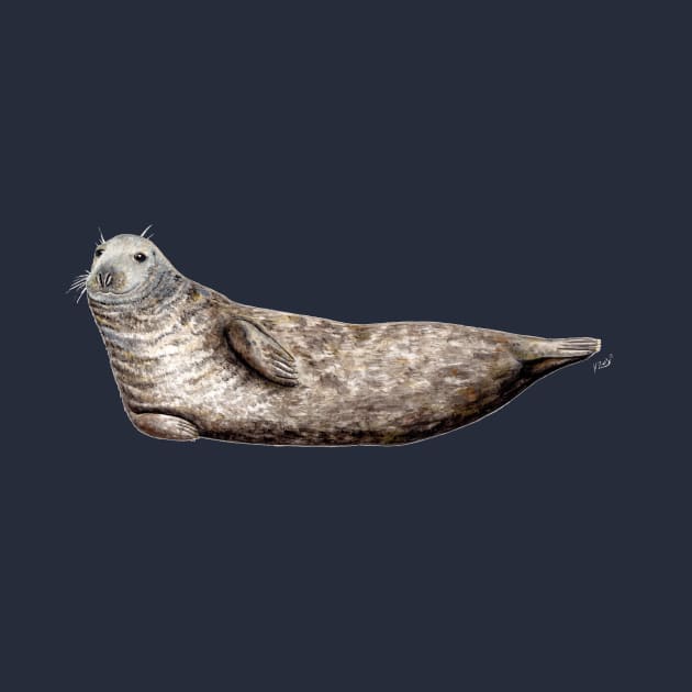 Grey seal by chloeyzoard