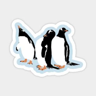 Gentoo Penguins Magnet