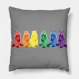 Rainbow Groundhogs Pillow