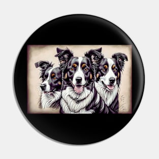 3 Border Collies Pin