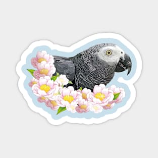 Gray parrot Magnet