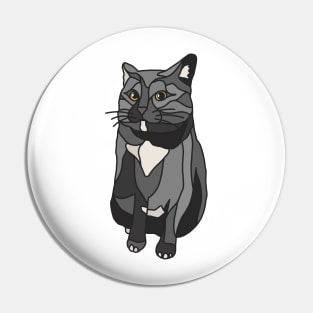 Black and White Cat Side Eye Pin