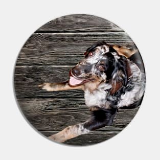 Australian Shepherd Pin