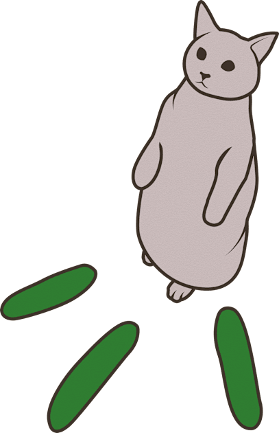 Funny Cat And Cucumber Meme Kids T-Shirt by crissbahari