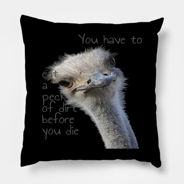 You Have To Eat A Peck Of Dirt Before You Die Pillow by taiche