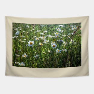 Summer Meadow Tapestry