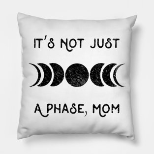 It's Not Just A Phase Pillow