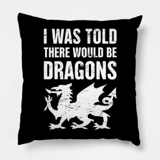 Dragons | Funny Renaissance Festival Costume Pillow